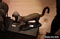 VBS_1013 - Riapre il Museo di Scienze Naturali dopo dieci anni di chiusura